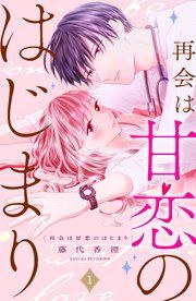 『再会は甘恋のはじまり 分冊版』の表紙