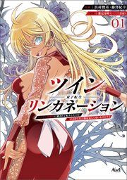 『ツインリンカネーション』の表紙
