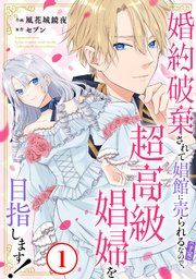 『婚約破棄されて娼館に売られる（予定）なので、超高級娼婦を目指します！』の表紙