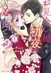 『お見合い婚にも初夜は必要ですか?』の表紙