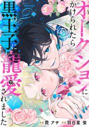 『オークションにかけられたら黒の王子に寵愛されました』の表紙