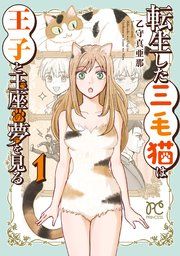 『転生した三毛猫は王子と玉座の夢を見る』の表紙
