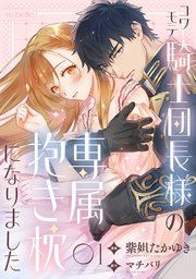 『コワモテ騎士団長様の専属抱き枕になりました』の表紙