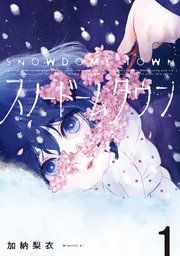 『スノードームタウン』の表紙