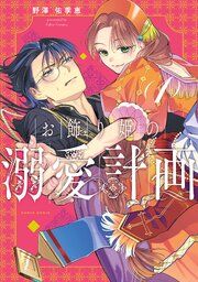 『お飾り姫の溺愛計画』の表紙