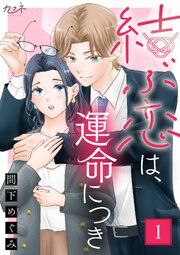 『結ぶ恋は、運命につき』の表紙