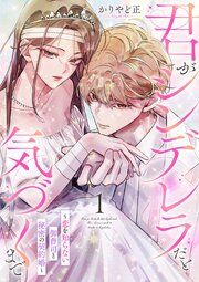 『君がシンデレラだと気づくまで～恋を知らない御曹司と秘密の契約婚～』の表紙