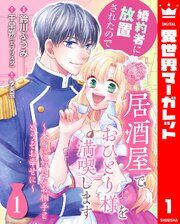 『婚約者に放置されたので居酒屋でおひとり様を満喫します～本当に好きなお相手とどうぞお幸せに～』の表紙