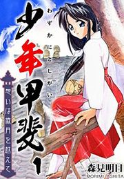 『少年甲斐~想いは歳月を越えて~』の表紙