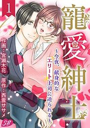 『寵愛紳士～今夜、献身的なエリート上司に迫られる～』の表紙