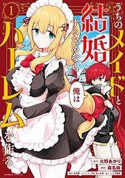 『うちのメイドと結婚するためなら俺はハーレムを作る』の表紙