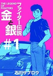 『ファイター伝説金と銀』の表紙