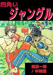 『四角いジャングル』の表紙