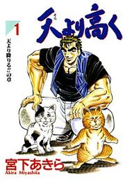 『天より高く』の表紙