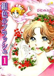 『銀色のフラッシュ』の表紙