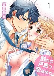 『触れて戸惑う恋なので』の表紙