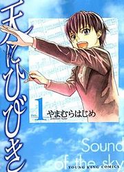 『天にひびき』の表紙