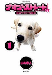 『ナオゴーストレート』の表紙