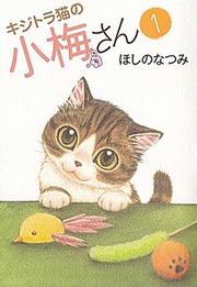 『キジトラ猫の小梅さん』の表紙