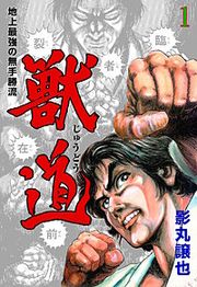 『獣道～地上最強の無手勝流～』の表紙