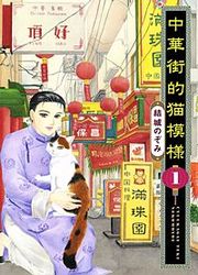 『中華街的猫模様』の表紙