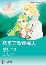 『塔を守る貴婦人』の表紙