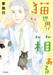 『猫の世界には箱がある』の表紙
