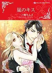 『嵐のキス』の表紙