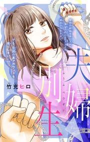 『夫婦別生【マイクロ】』の表紙
