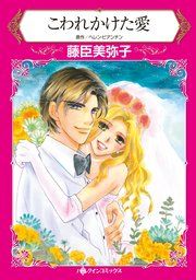 『こわれかけた愛』の表紙