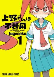 『上野さんは不器用』の表紙