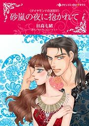 『砂嵐の夜に抱かれて』の表紙