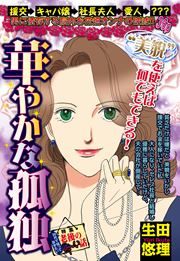 『華やかな孤独』の表紙