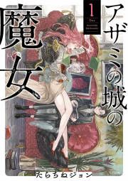 『アザミの城の魔女』の表紙