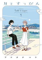 『月とすっぴん』の表紙