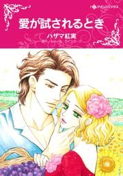 『愛が試されるとき』の表紙