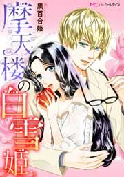 『摩天楼の白雪姫』の表紙