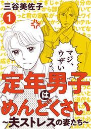『定年男子はめんどくさい ～夫ストレスの妻たち～』の表紙