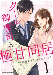 『クールな御曹司と極甘同居』の表紙