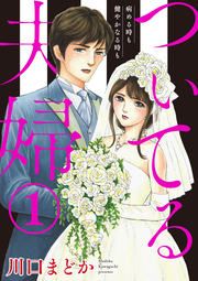 『ついてる夫婦 病める時も健やかなる時も』の表紙