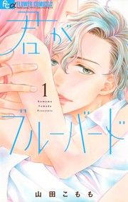 『君がブルーバード』の表紙