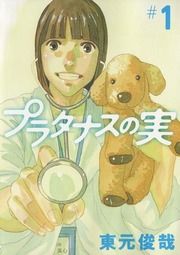 『プラタナスの実』の表紙