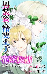 『男装姿で精霊王子の花嫁候補になりました…』の表紙