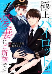 『極上パイロットが愛妻にご所望です』の表紙