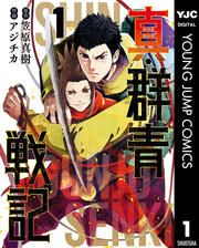 『真・群青戦記』の表紙