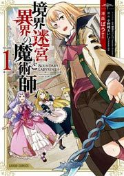 『境界迷宮と異界の魔術師』の表紙