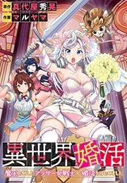『異世界婚活～魔王を倒したアラサー女戦士が婚活をはじめました～』の表紙