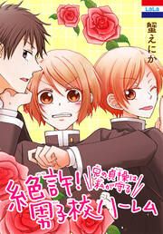 『絶許!男子校ハーレム~兄の貞操は私が守る~』の表紙