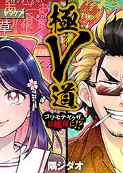 『極V道~コワモテヤクザがお嬢様に!?~』の表紙