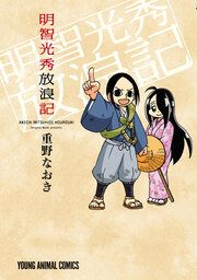 『明智光秀放浪記』の表紙